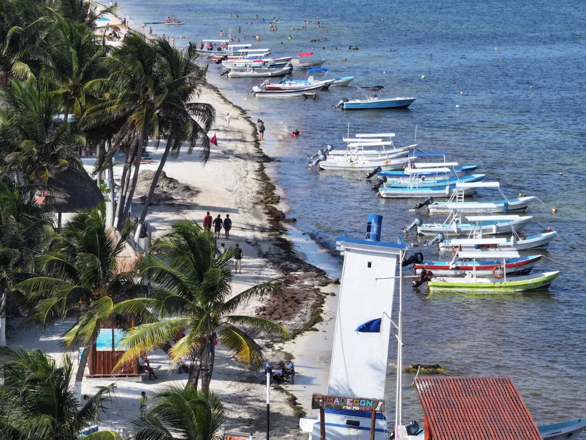 Aerial view of Puerto Morelos waterfront, boats and palm trees along the Malecón
